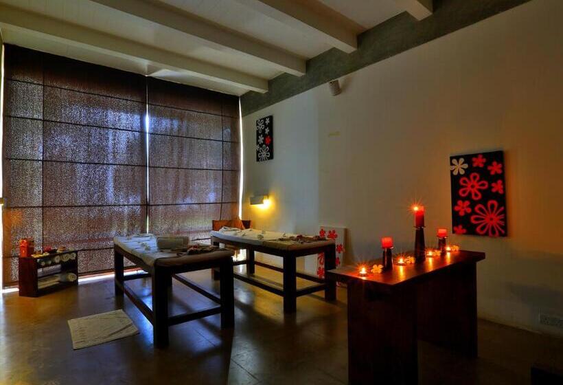 酒店 Temple Tree Resort & Spa