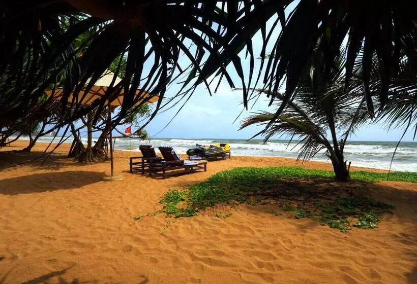 Hotel Temple Tree Resort & Spa