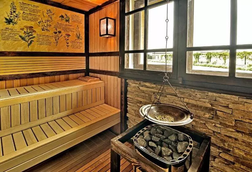 Hotel Topola Skies Resort & Aquapark