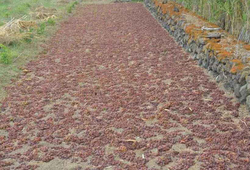ホテル Agriturismo Zinedi