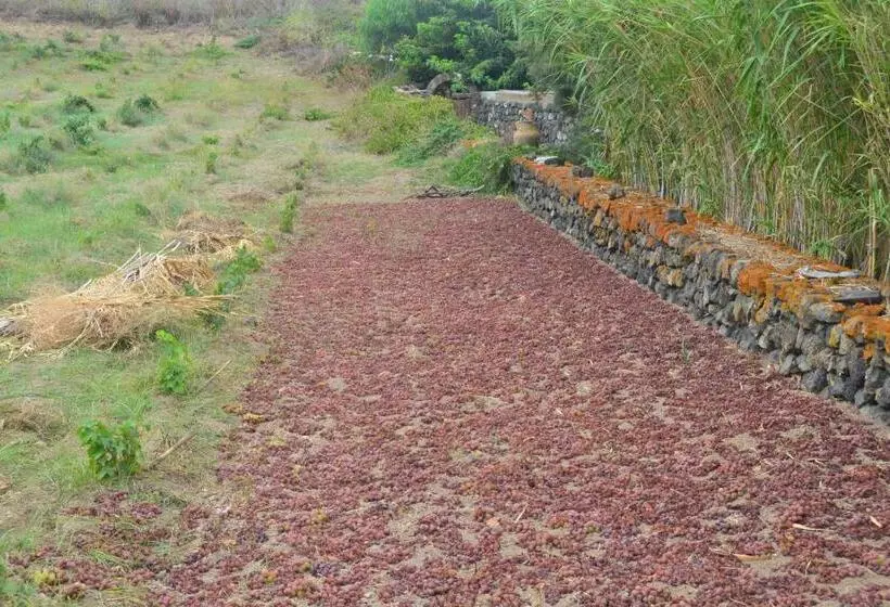 ホテル Agriturismo Zinedi