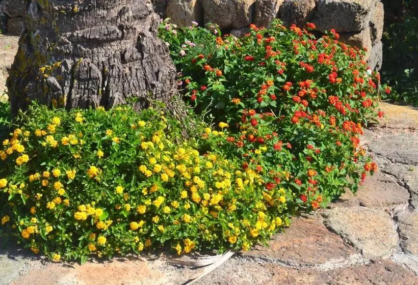 ホテル Agriturismo Zinedi