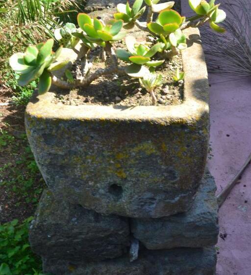 فندق Agriturismo Zinedi