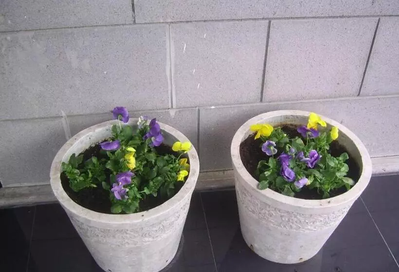 ホテル Casa Villa