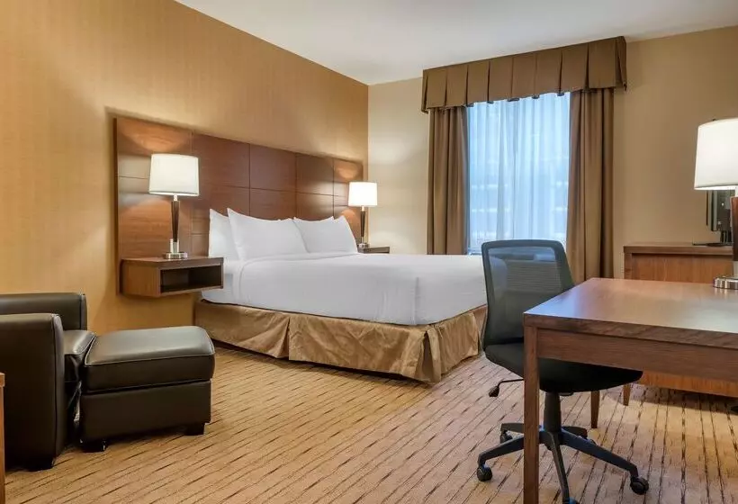 Best Western Plus, Bathurst Hotel & Suites