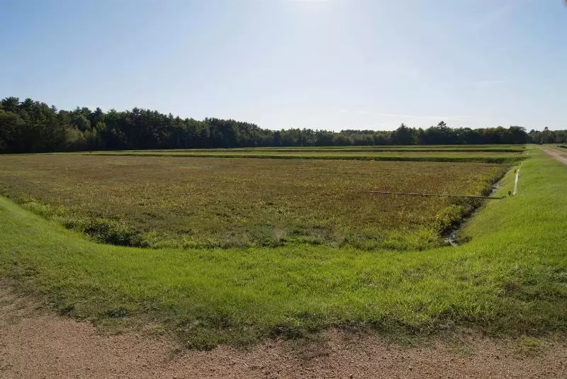 호텔 Wisconsin Rapids