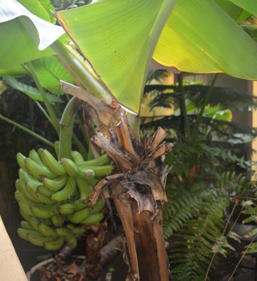 بنسيون Casa Colonial Cejas