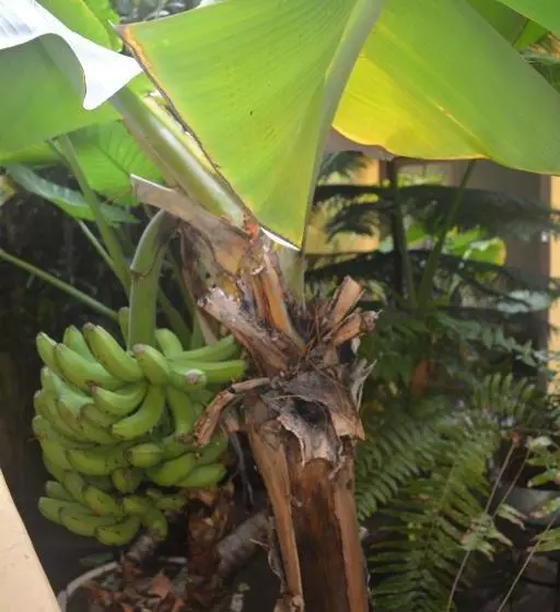 펜션 Casa Colonial Cejas