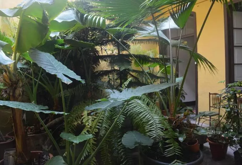 펜션 Casa Colonial Cejas