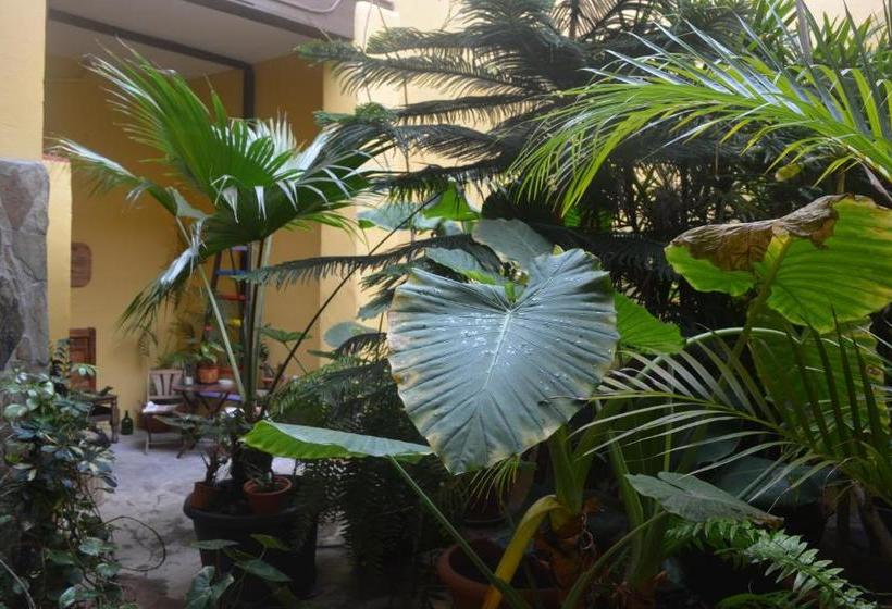 بنسيون Casa Colonial Cejas