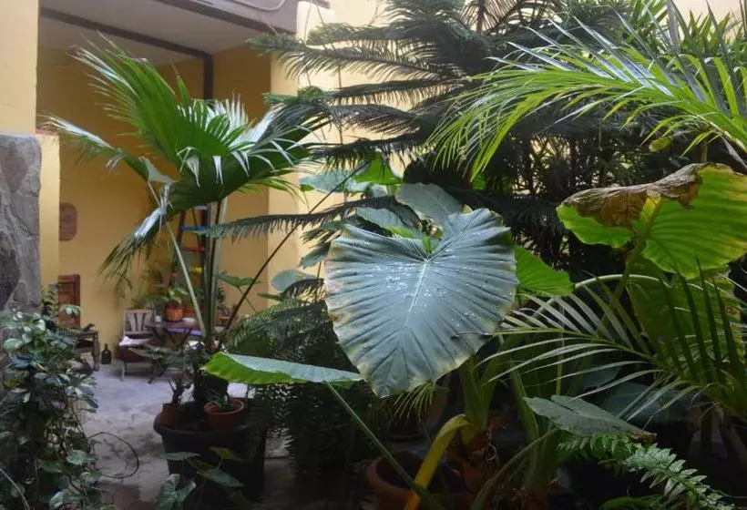 펜션 Casa Colonial Cejas