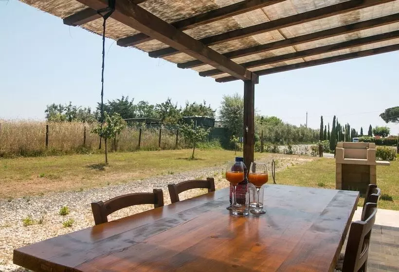 Fattoria Palazzeta   Pet & Family Friendly