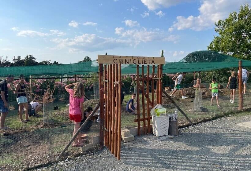 Fattoria Palazzeta Pet & Family Friendly