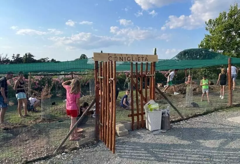 Fattoria Palazzeta   Pet & Family Friendly