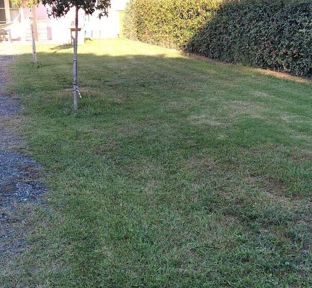 Fattoria Palazzeta Pet & Family Friendly