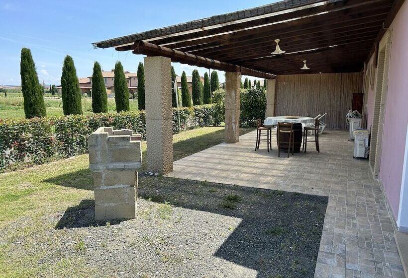 Fattoria Palazzeta Pet & Family Friendly