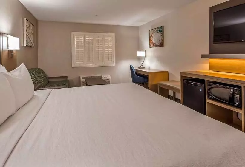 فندق Best Western Plus Safford