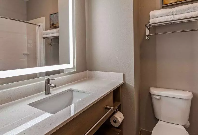 ホテル Best Western Plus Safford