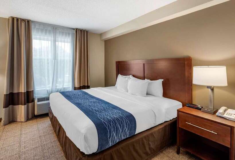 酒店 Comfort Inn & Suites Virginia Beach Norfolk Airport