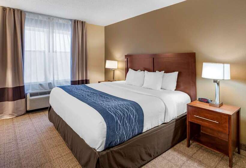 酒店 Comfort Inn & Suites Virginia Beach Norfolk Airport