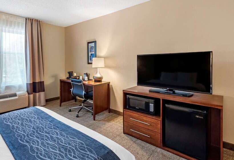 酒店 Comfort Inn & Suites Virginia Beach Norfolk Airport