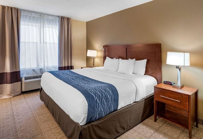 酒店 Comfort Inn & Suites Virginia Beach Norfolk Airport
