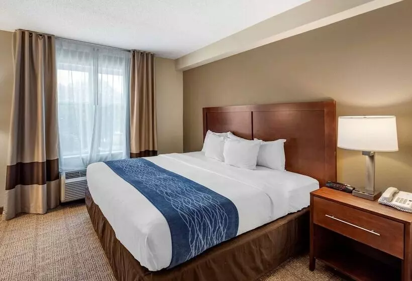 هتل Comfort Inn & Suites Virginia Beach   Norfolk Airport