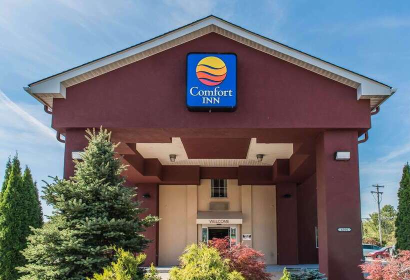 ホテル Comfort Inn