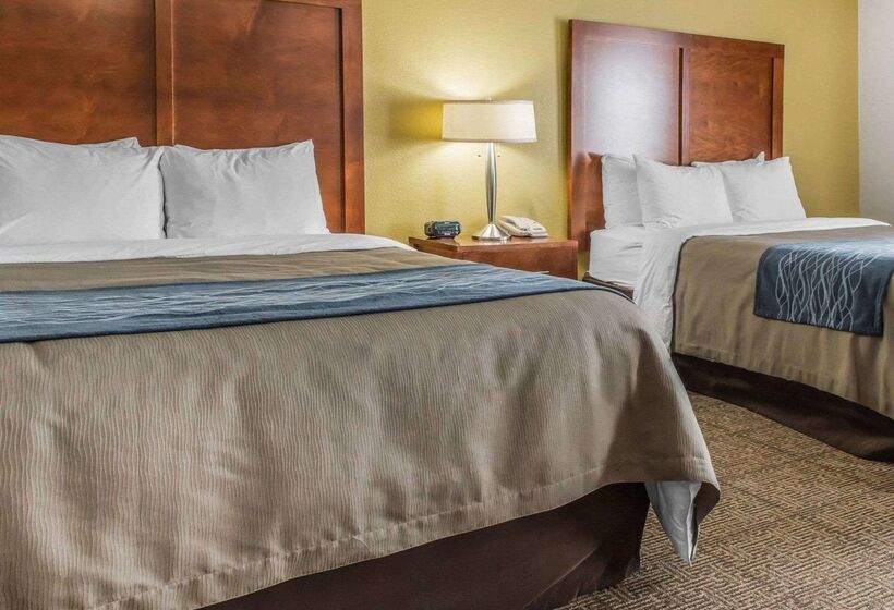 ホテル Comfort Inn