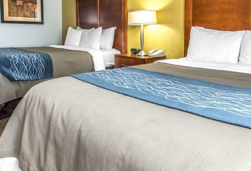 ホテル Comfort Inn