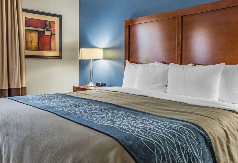 ホテル Comfort Inn