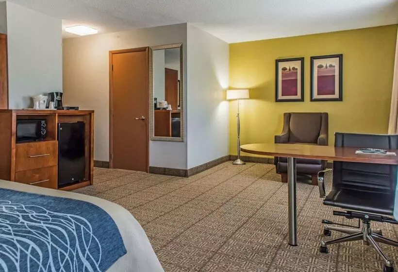 ホテル Comfort Inn