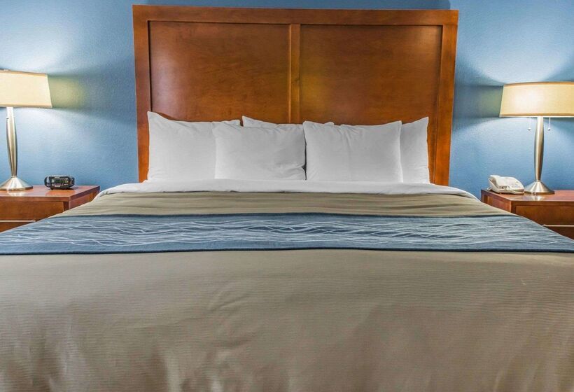 ホテル Comfort Inn