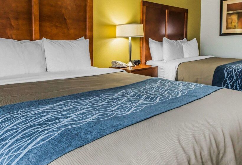 ホテル Comfort Inn