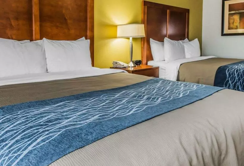 ホテル Comfort Inn