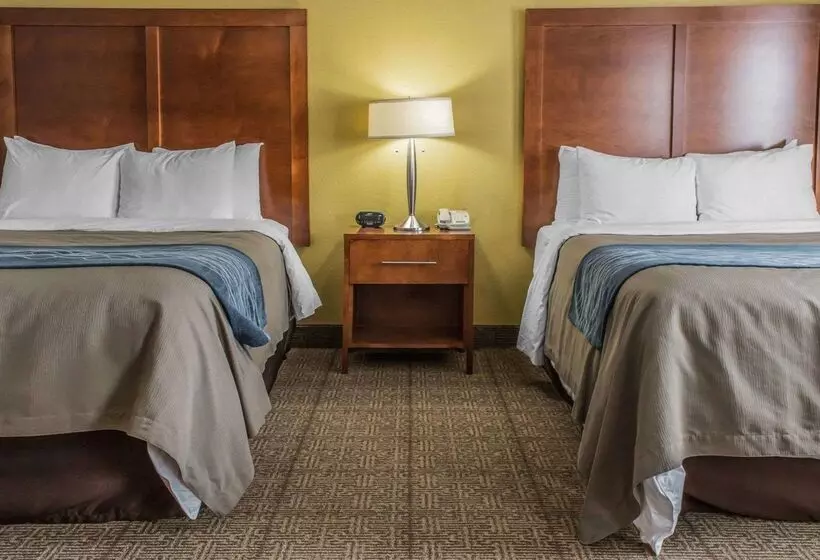 ホテル Comfort Inn