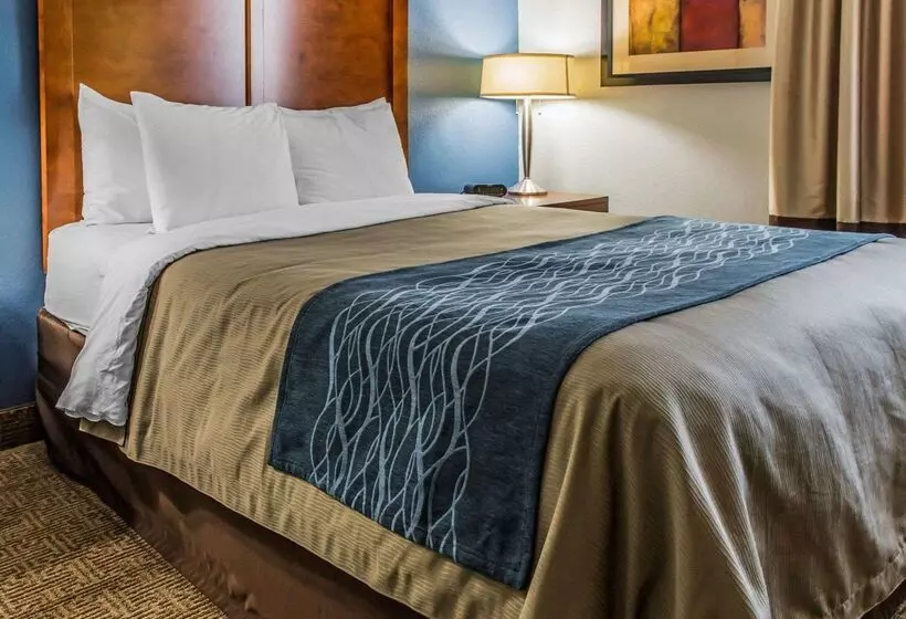 ホテル Comfort Inn