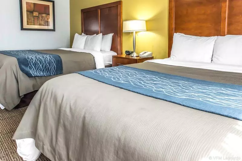 ホテル Comfort Inn