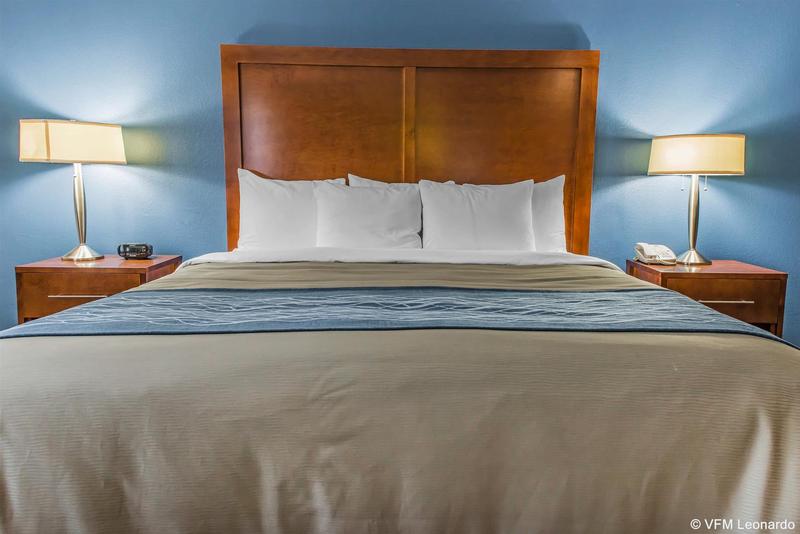 ホテル Comfort Inn