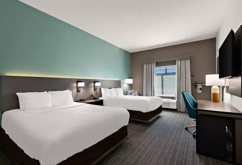 호텔 Comfort Inn Powell   Knoxville North