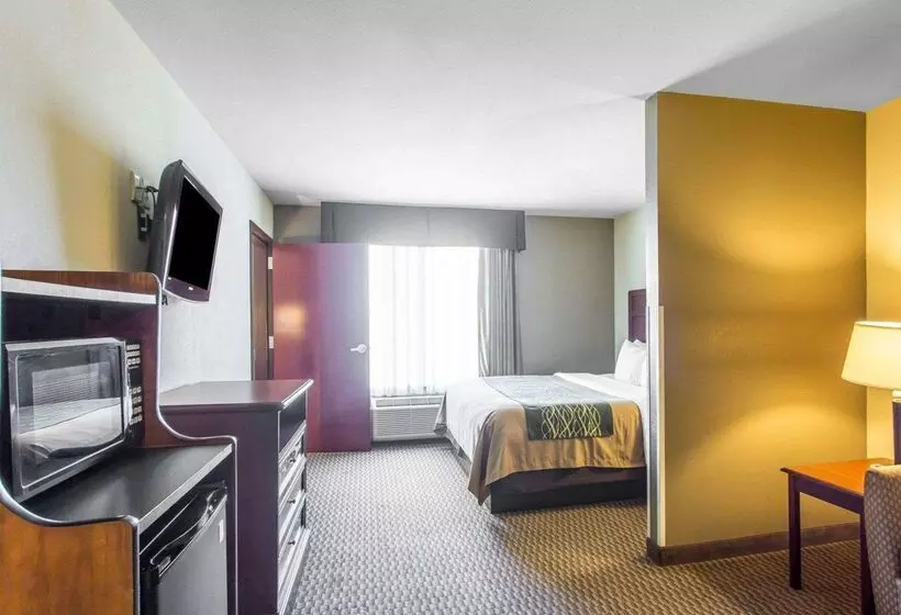 Отель Comfort Inn And Suites