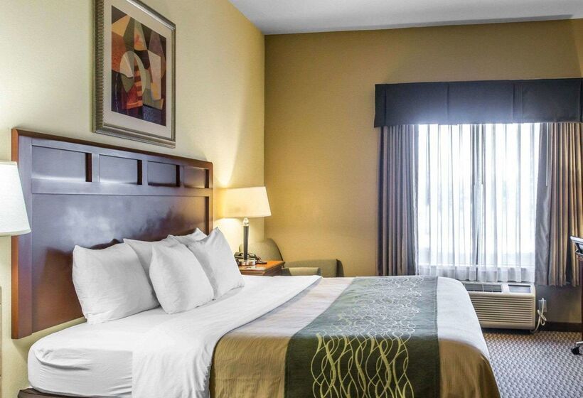 Отель Comfort Inn And Suites