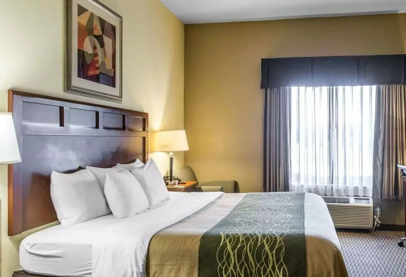 Отель Comfort Inn And Suites