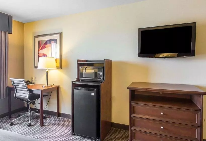 Отель Comfort Inn And Suites