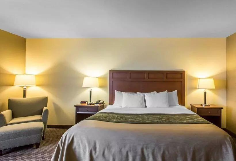 Отель Comfort Inn And Suites