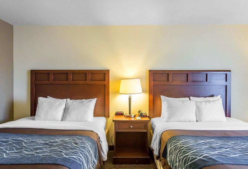 Отель Comfort Inn And Suites