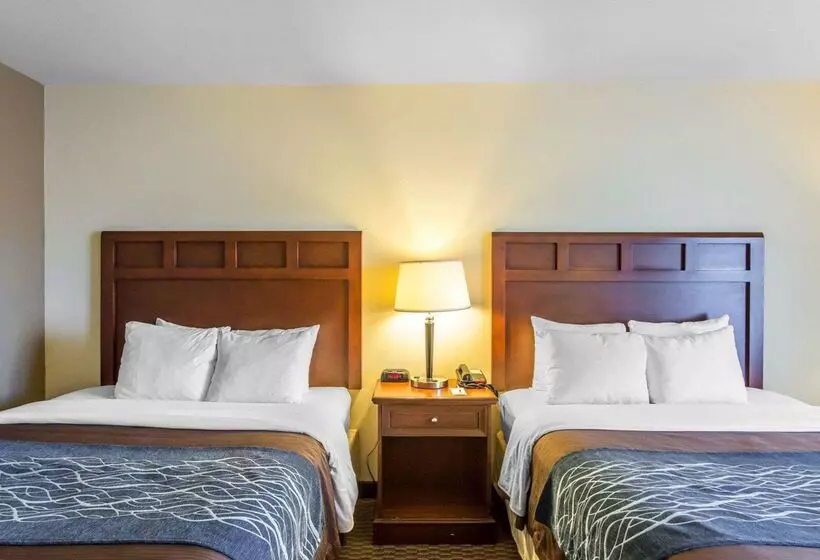 Отель Comfort Inn And Suites