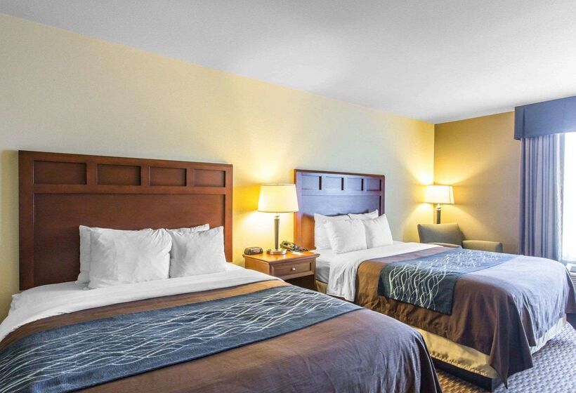 Отель Comfort Inn And Suites