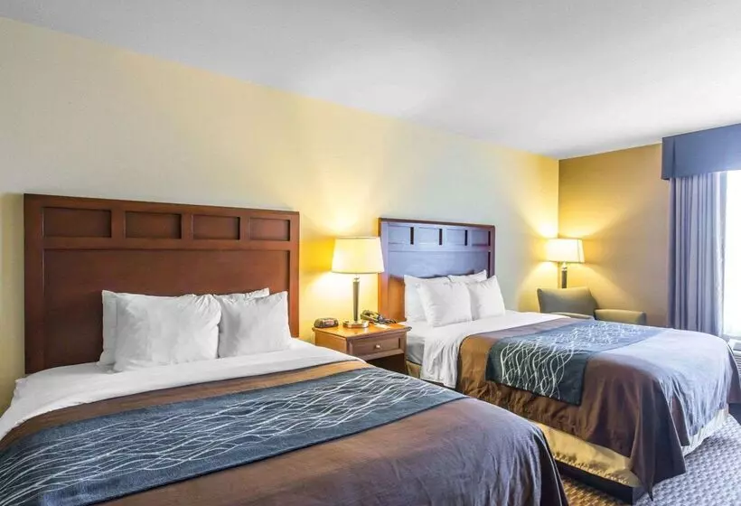 Отель Comfort Inn And Suites