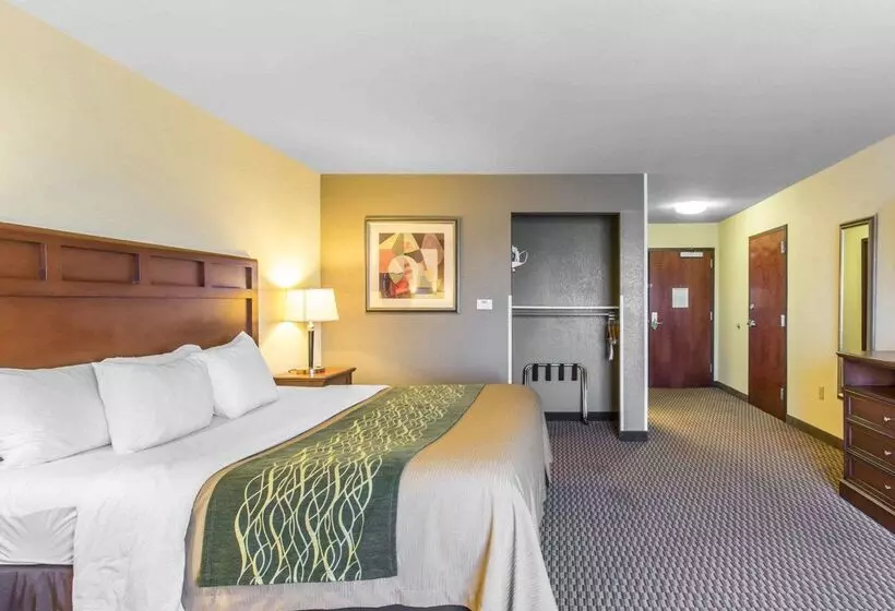 Отель Comfort Inn And Suites